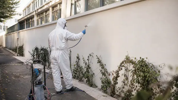 Photo d'illustration du guide « Comment éviter les graffitis récurrents sur votre propriété »