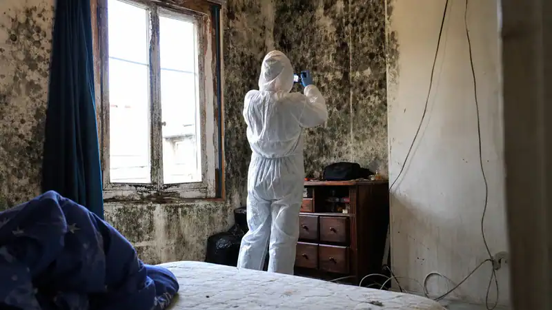 Photo d'illustration du guide « Logement insalubre : procédures et solutions de remise en état »