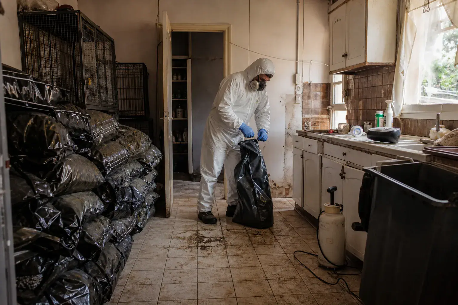 Évacuation de sacs de croquettes et de cages dans une maison de Seine-et-Marne, syndrome de Noé